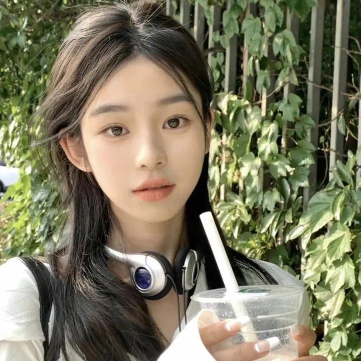 狗的生涯